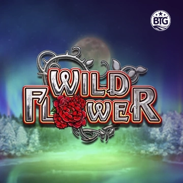 Bigtime : Wild Flower - ZONABET138